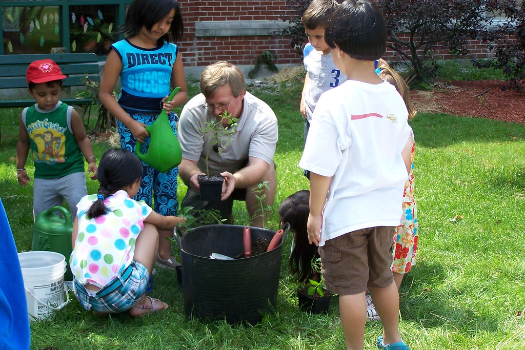 Nature-Based DIY Projects (image credits: flickr)