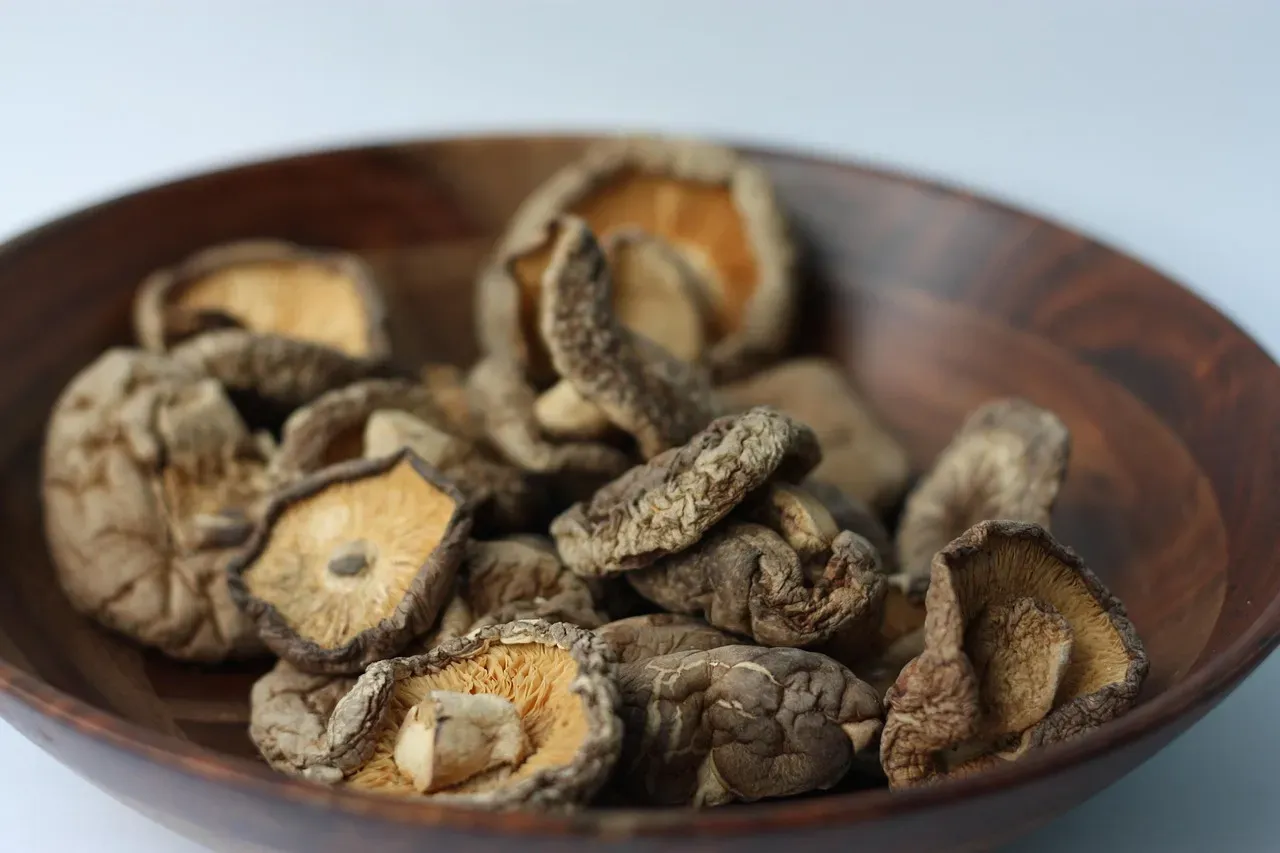 Dried Mushrooms: Concentrated Flavor in Lightweight Form (Image Credits: Pixabay)