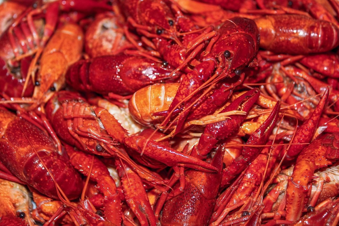 Red Lobster Emerges From Bankruptcy Waters (Image Credits: Pixabay)