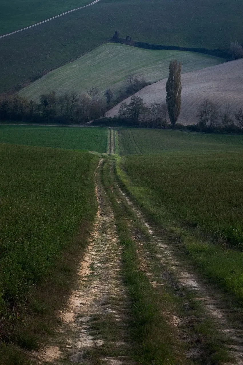 Romania: The Camino of the East (Image Credits: Pixabay)