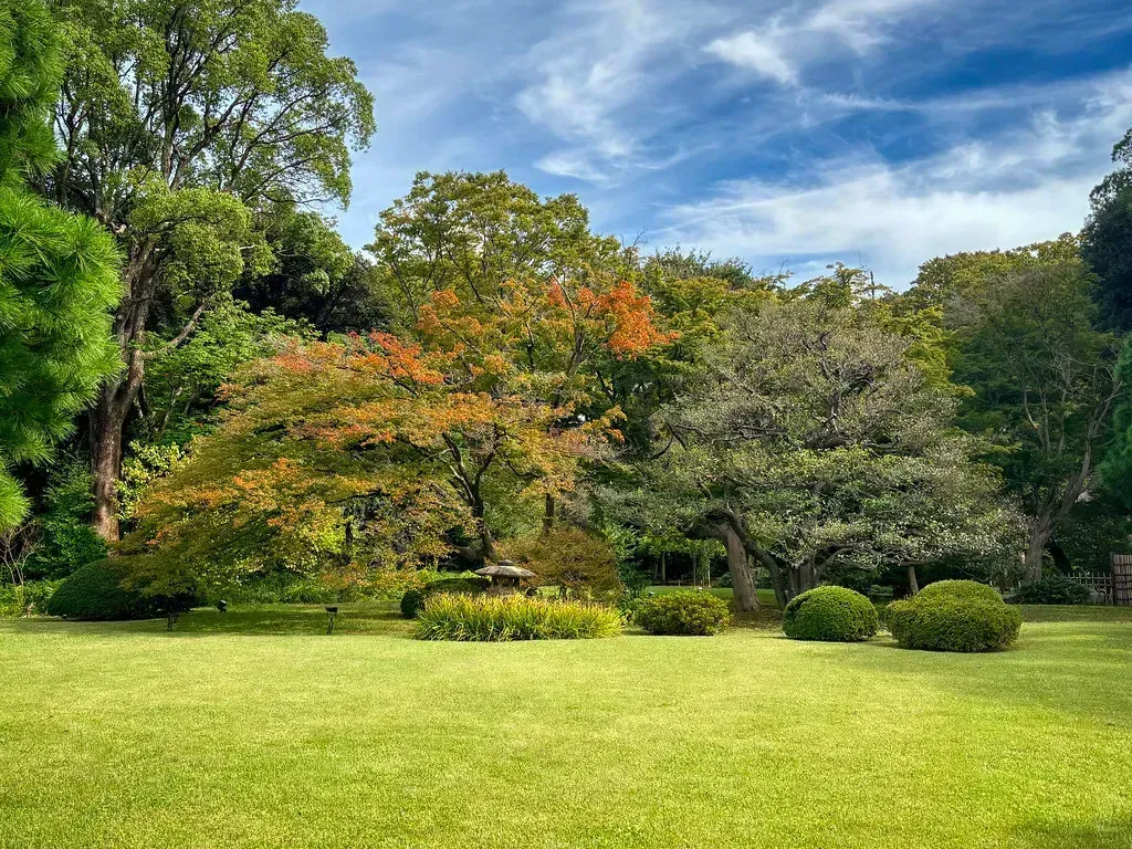 Installing High-Maintenance Landscape Features (Image Credits: Flickr)