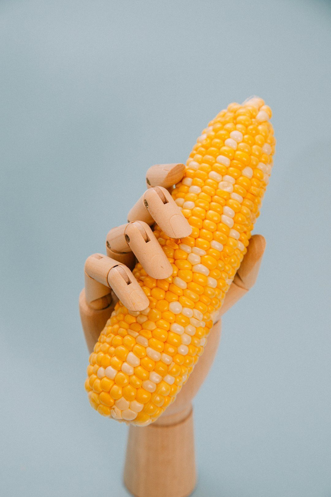 Genetically Modified Foods Without Labels (Image Credits: Unsplash)