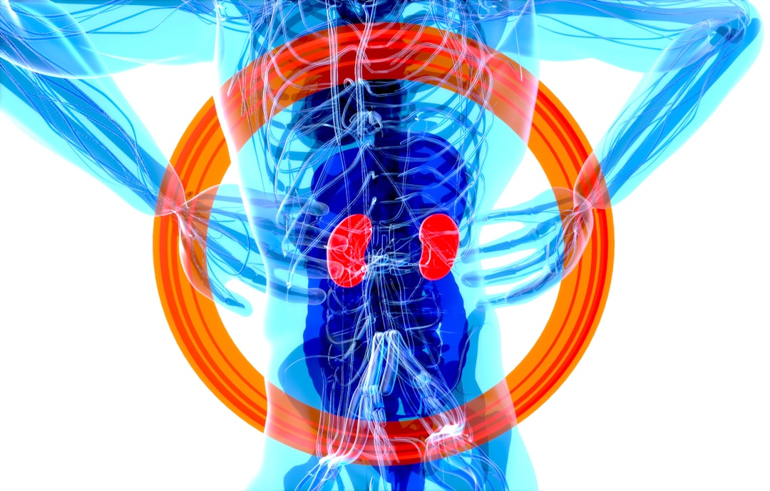 Your Kidneys Are Silent Heroes Working Overtime (image credits: unsplash)