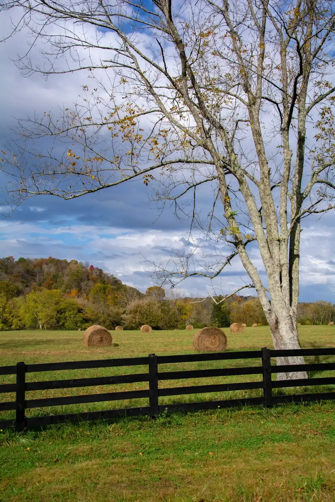 9. Kentucky - Consistent Bottom Performer, Year After Year (Image Credits: Unsplash)