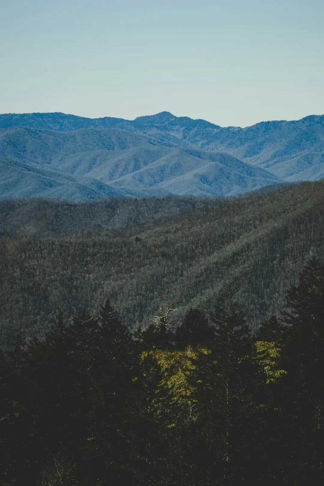 Hickory, North Carolina (Image Credits: Unsplash)