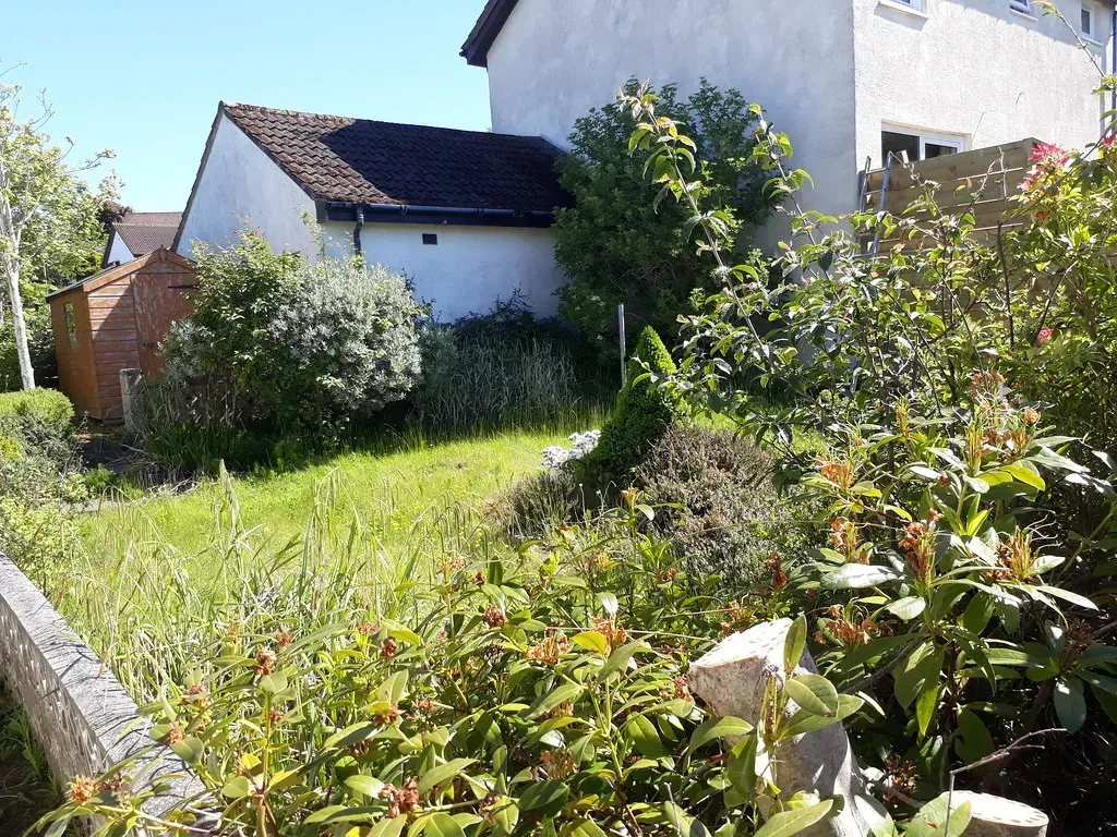 Elaborate High-Maintenance Landscaping (Image Credits: Flickr)