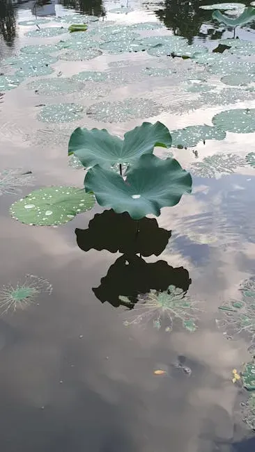 2. The Nubian Sandstone Aquifer System: Africa's Ancient Fossil Vault (Image Credits: Pexels)