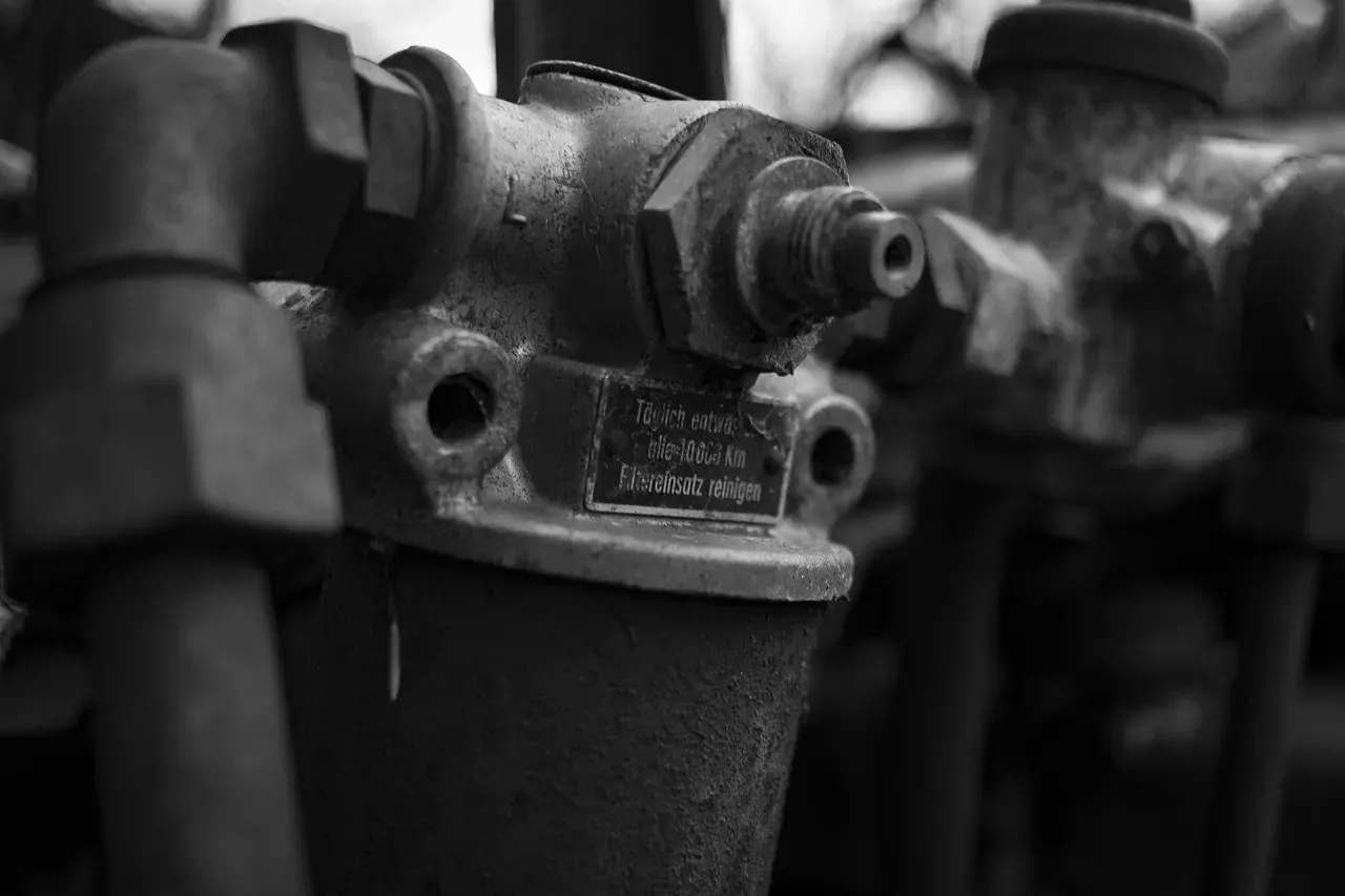 Rust, Age, and Region Matter More Than You Think (Image Credits: Pixabay)