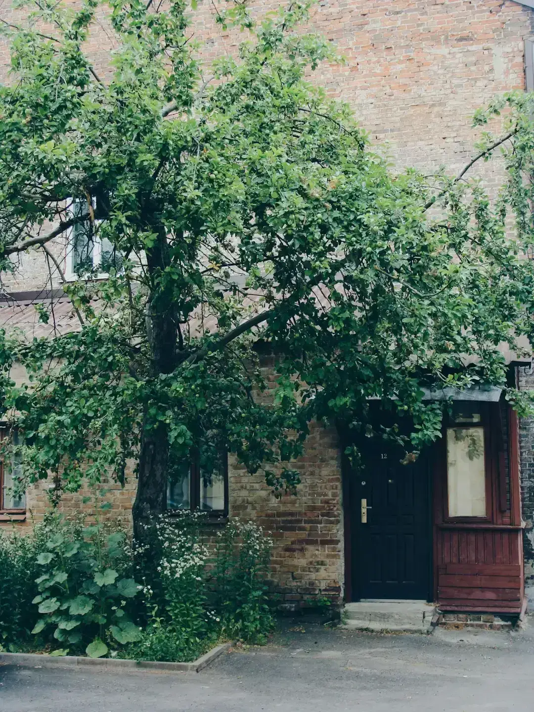 Accessory Dwelling Units Are Multiplying in Suburban Backyards (Image Credits: Unsplash)