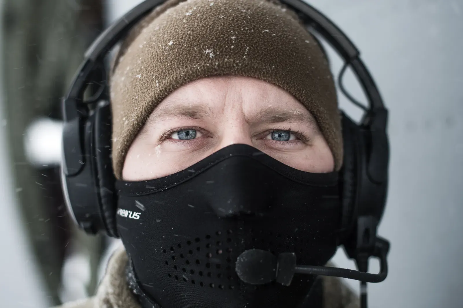 When the First Arctic Blast Hit (Image Credits: Wikimedia)