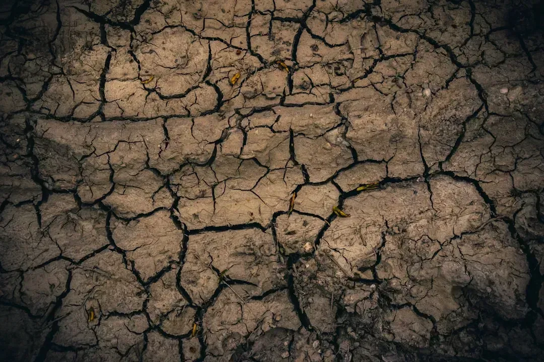 It's Not Running Out Because of Drought (Image Credits: Unsplash)