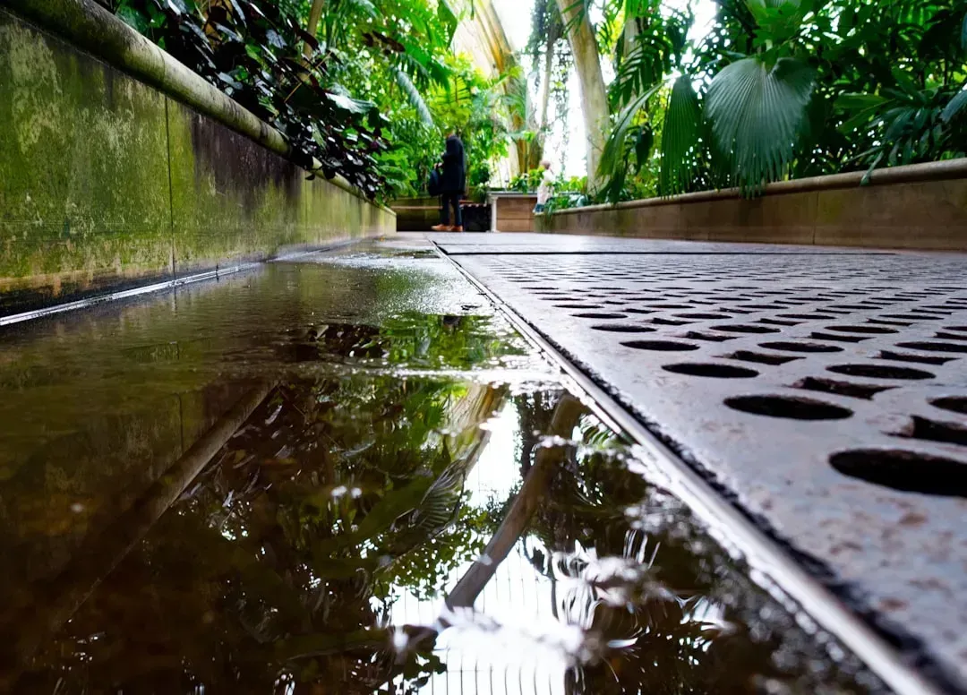 8. Building a Patio Without Proper Drainage Planning (Image Credits: Unsplash)