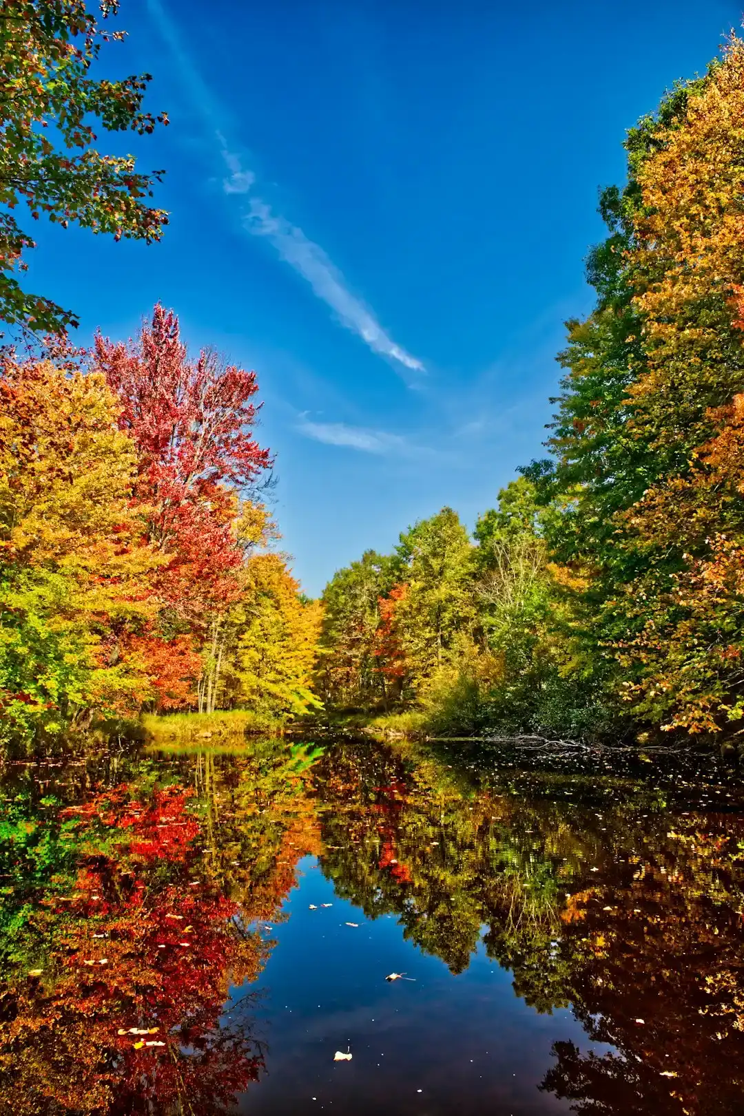 3. Wisconsin: Quietly Resilient and Ready (Image Credits: Unsplash)