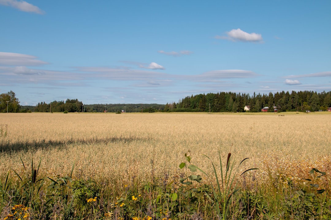 Sweden Claims the Crown of Food System Excellence (Image Credits: Unsplash)