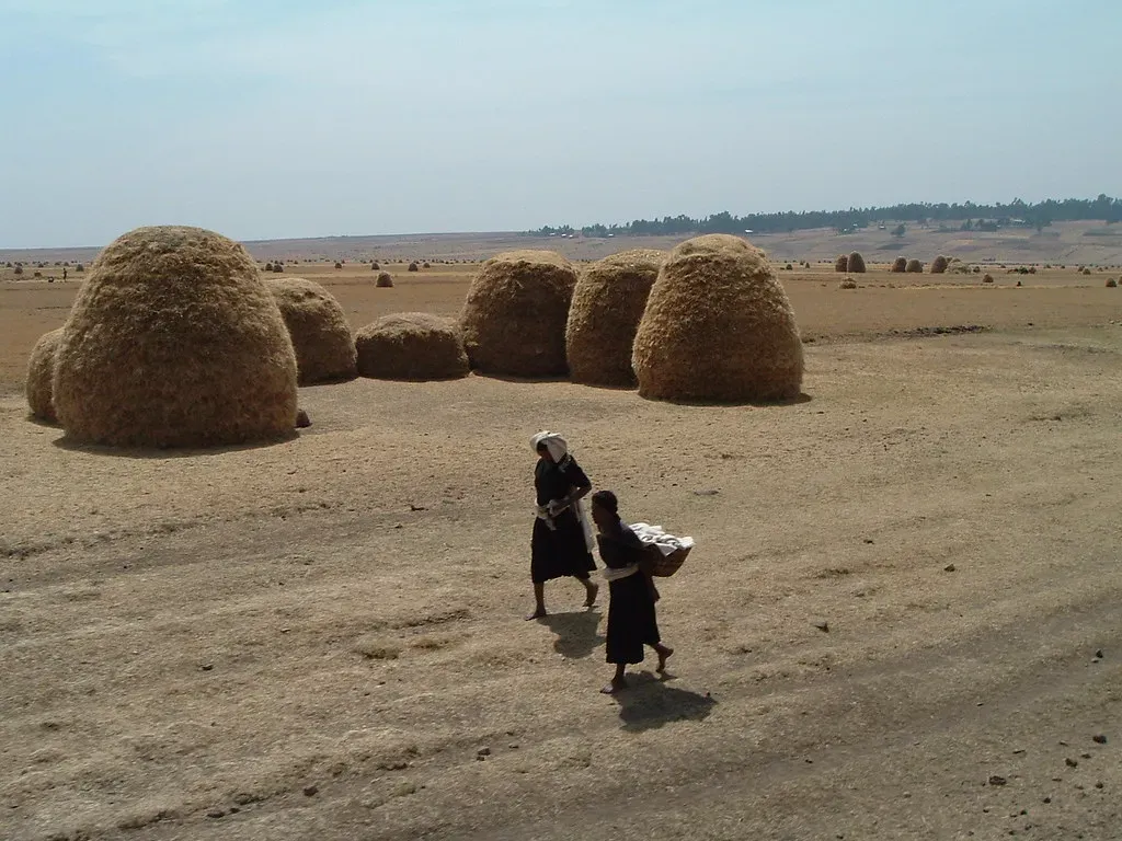 Ethiopia: Africa's Rising Adventure Destination (t r e v y, Flickr, CC BY 2.0)