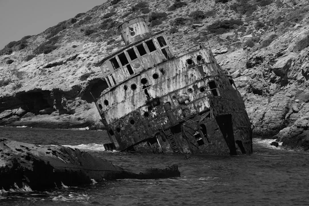 6. Edgar Allan Poe and the Real Richard Parker (Image Credits: Unsplash)