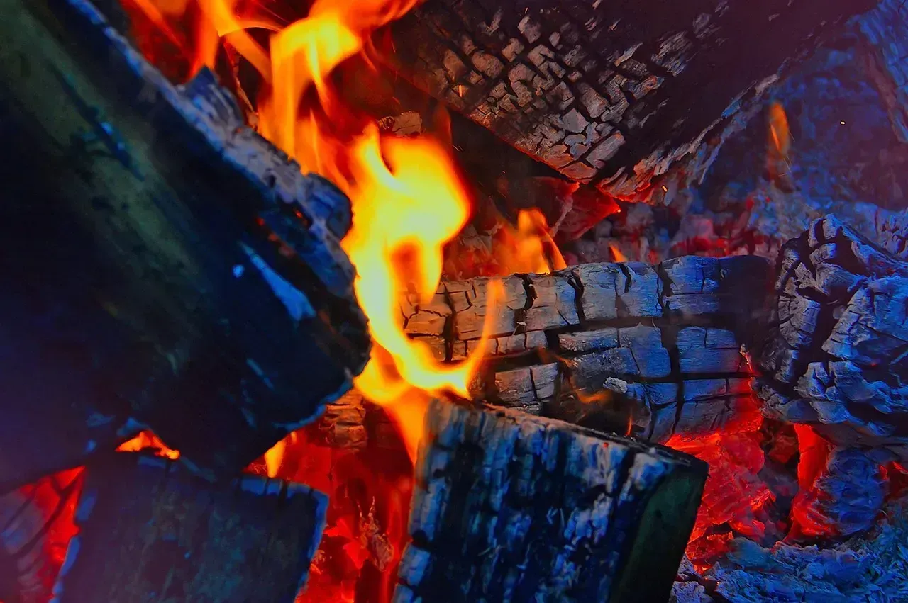 5. Wet Firewood, Moldy Yard Waste, and Leaves (Image Credits: Pixabay)