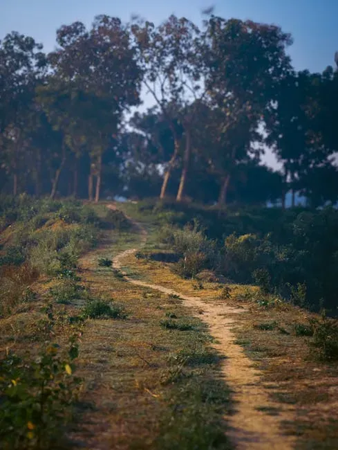 Avoiding the Carved Tracks (Image Credits: Pexels)