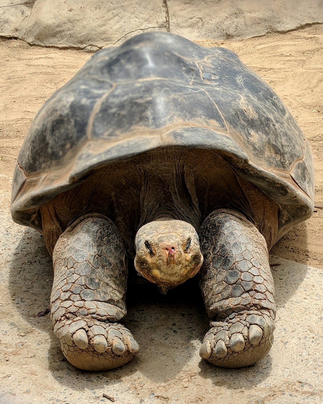 Galápagos National Park, Ecuador (Image Credits: Unsplash)