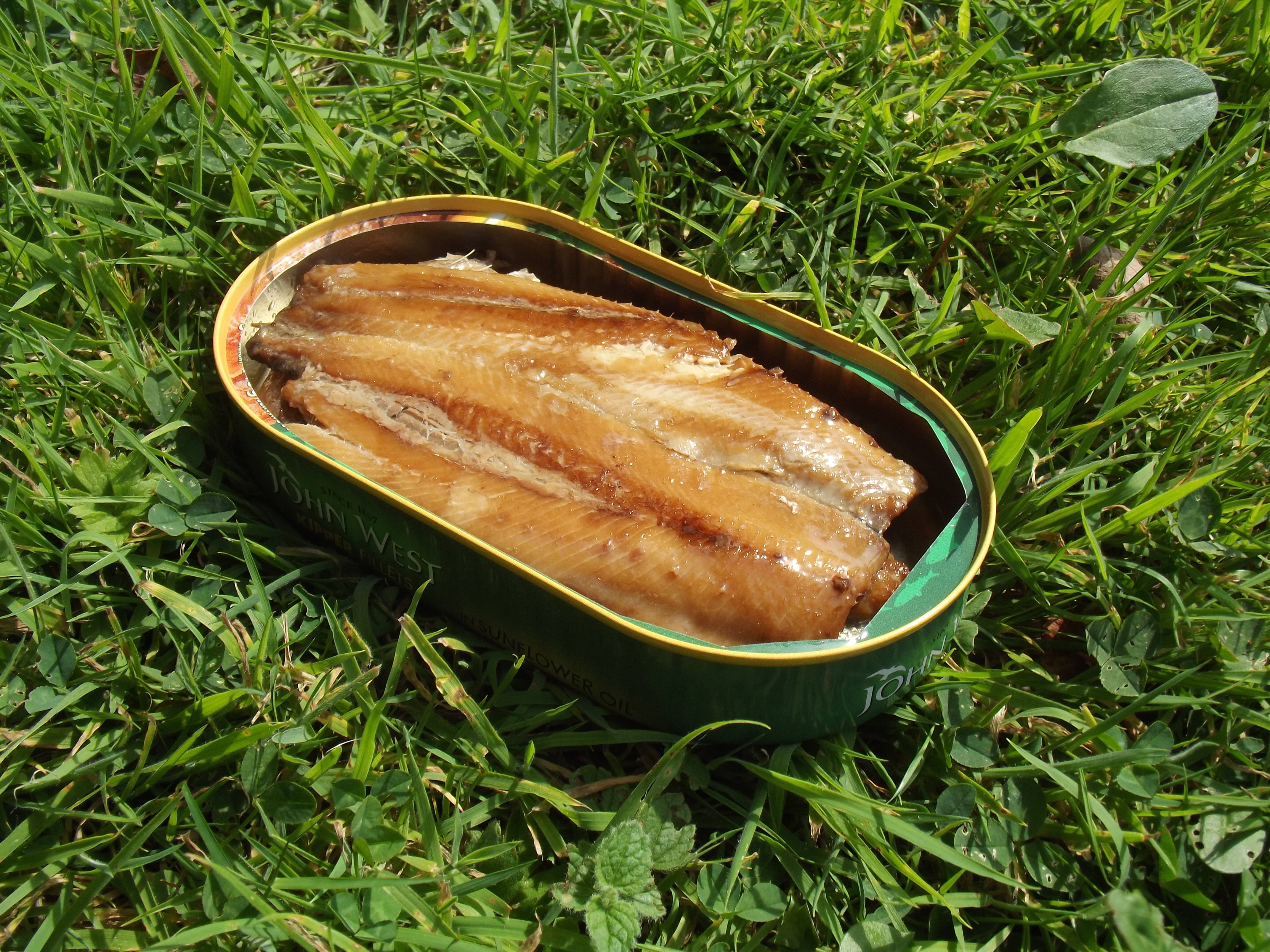Canned Fish: The Quick Protein Fix (image credits: wikimedia)