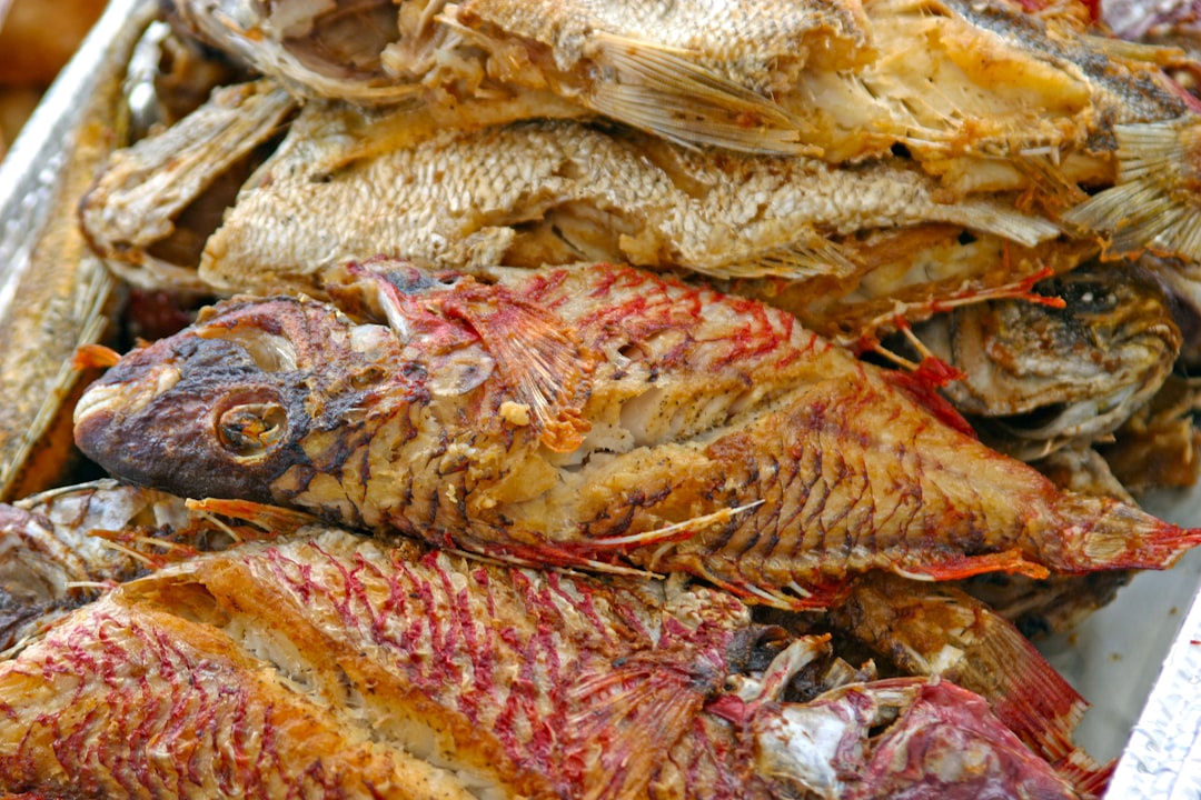 Fish Collars: The Secret Cut Chefs Guard Jealously (Image Credits: Unsplash)