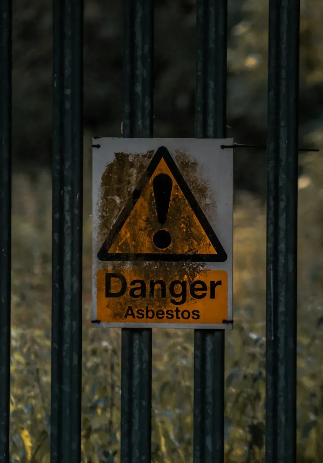 Environmental Hazards Require Specialized Testing (Image Credits: Unsplash)