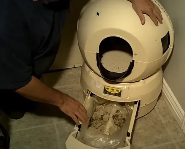 4. A Proper, Well-Maintained Litter Box Setup (By http://bestselfcleaninglitterbox.com, CC BY-SA 4.0)