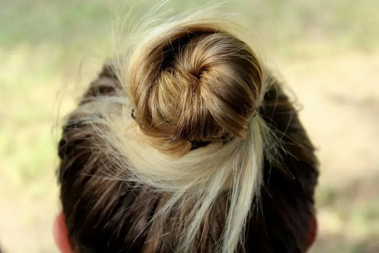 High Bun with Face-Framing Tendrils (Image Credits: Pixabay)
