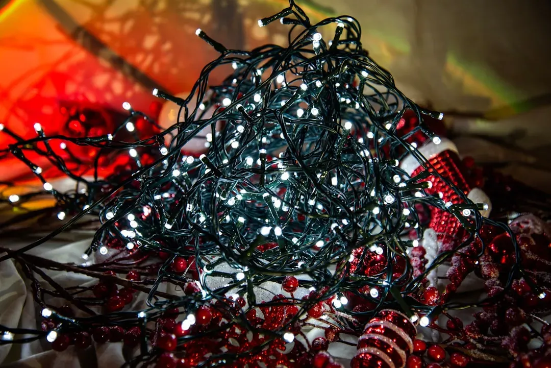 Unused Holiday Decorations (Image Credits: Unsplash)