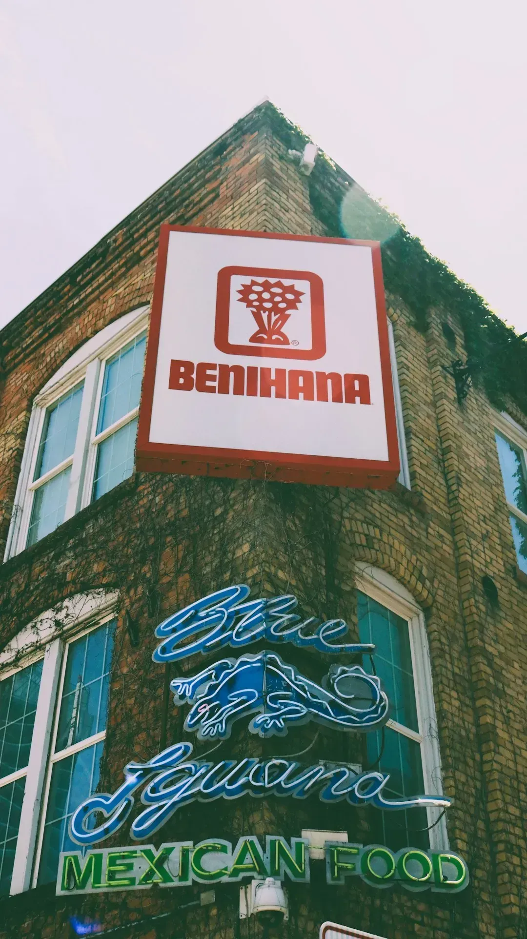 11. Benihana: When the Show Stops Being Worth the Price (Image Credits: Unsplash)