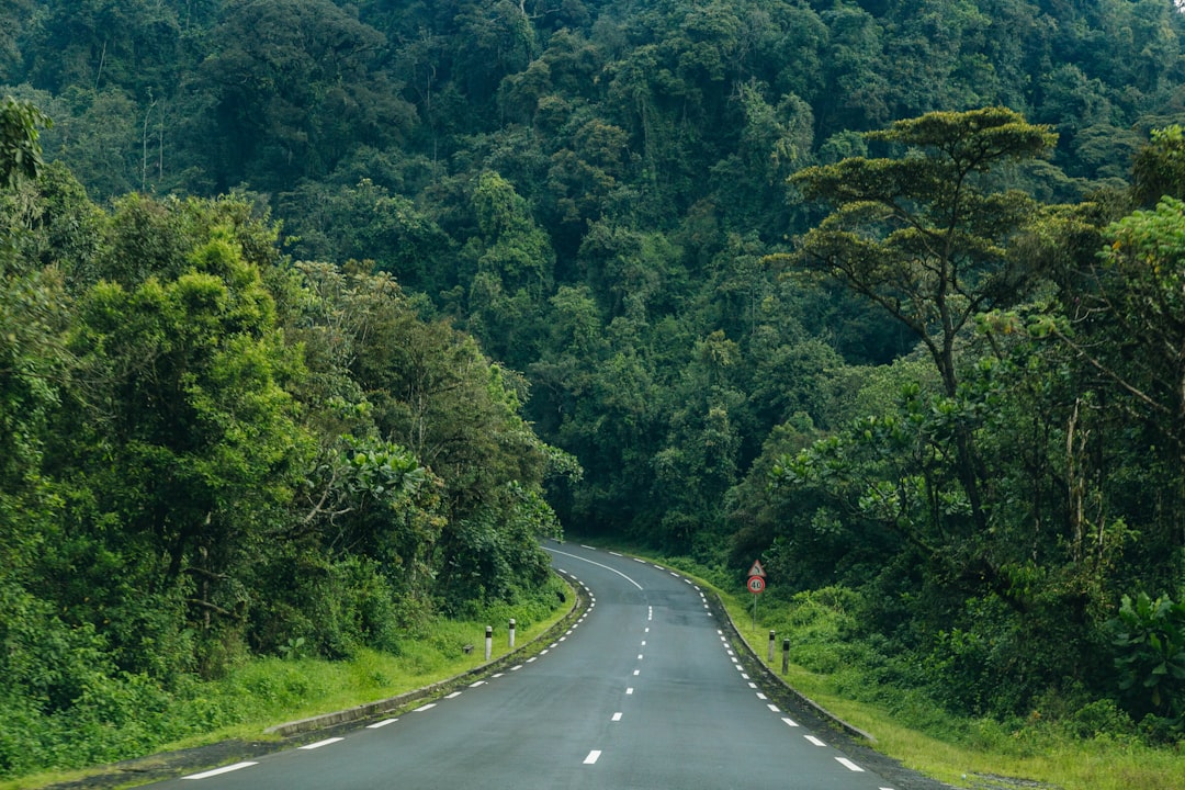 Rwanda: The Land of a Thousand Hills (Image Credits: Unsplash)