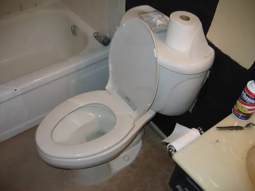 Carpeted Bathrooms (Image Credits: Flickr)