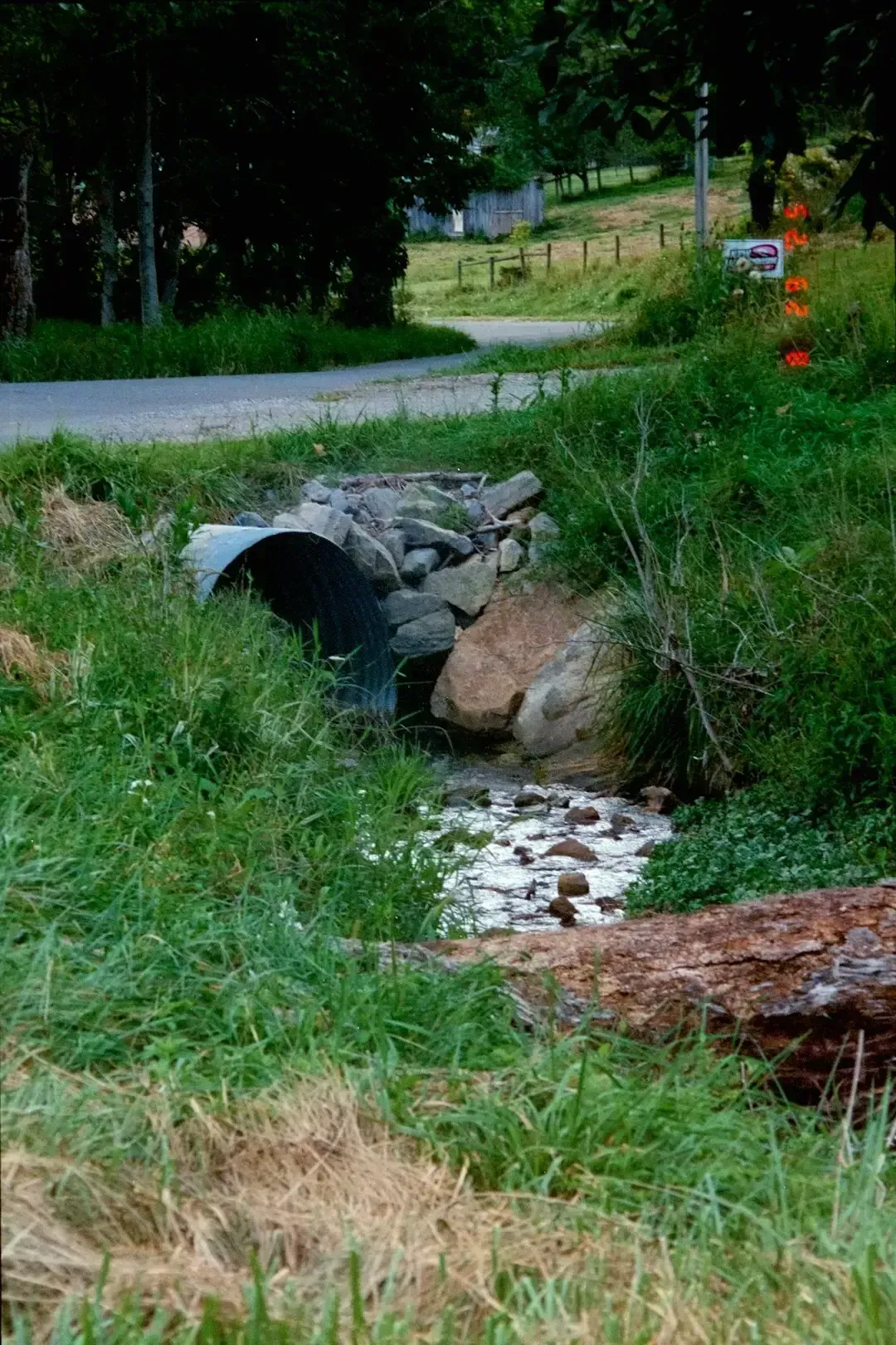 Skipping Drainage Solutions (Image Credits: Unsplash)