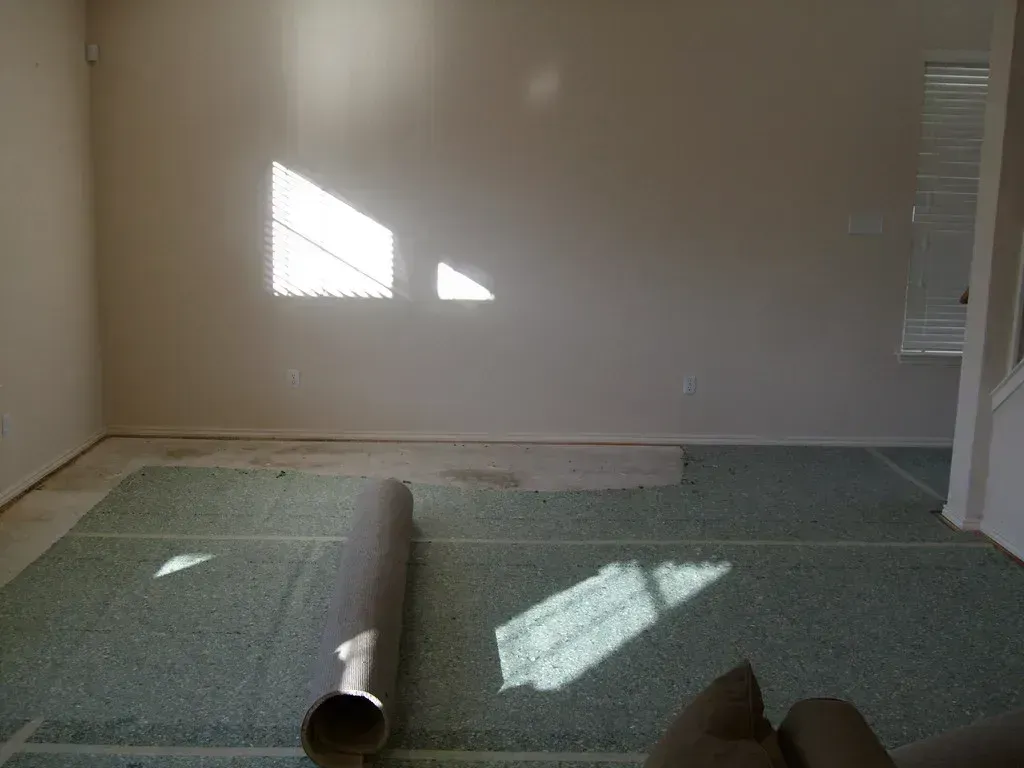Wall-to-Wall Carpeting (Image Credits: Flickr)