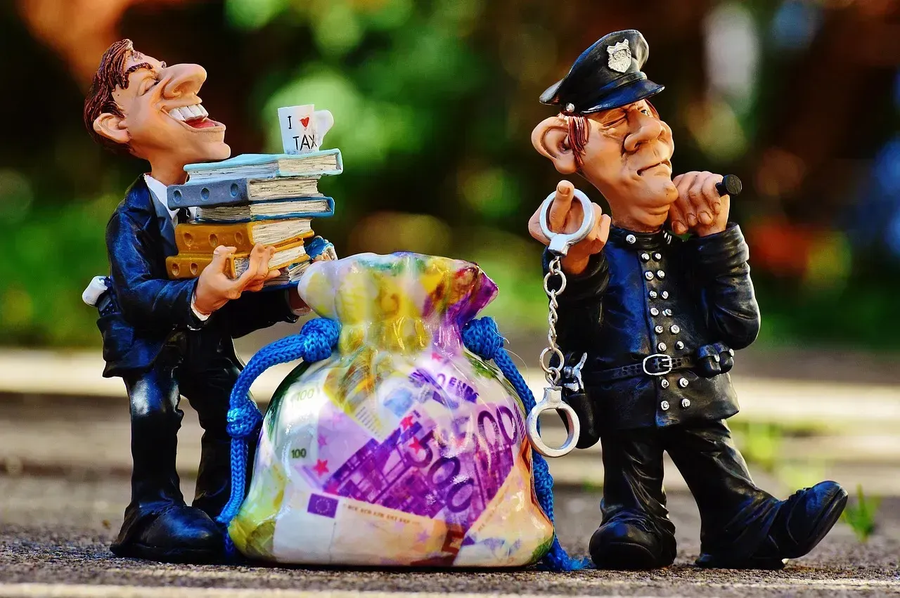 Where This Tax Came From (Image Credits: Pixabay)