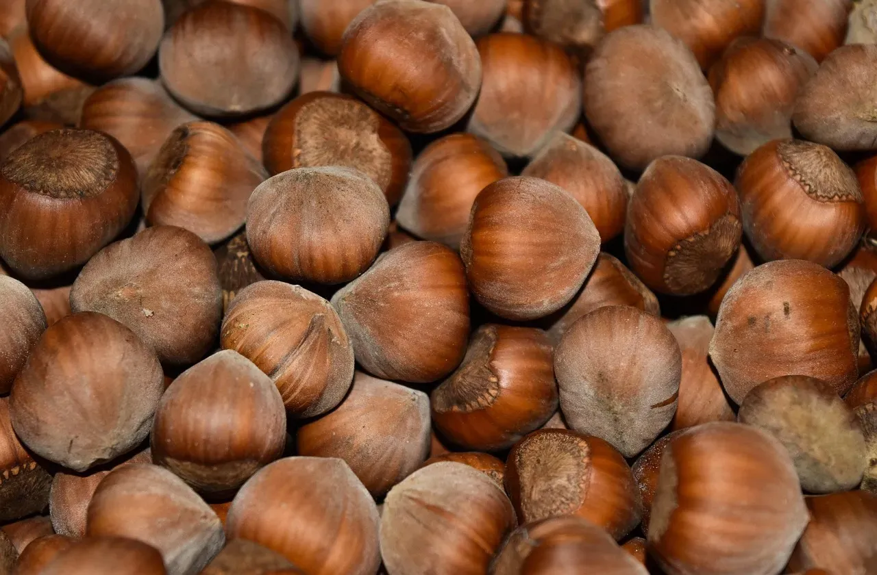 8. Hazelnuts (Image Credits: Pixabay)
