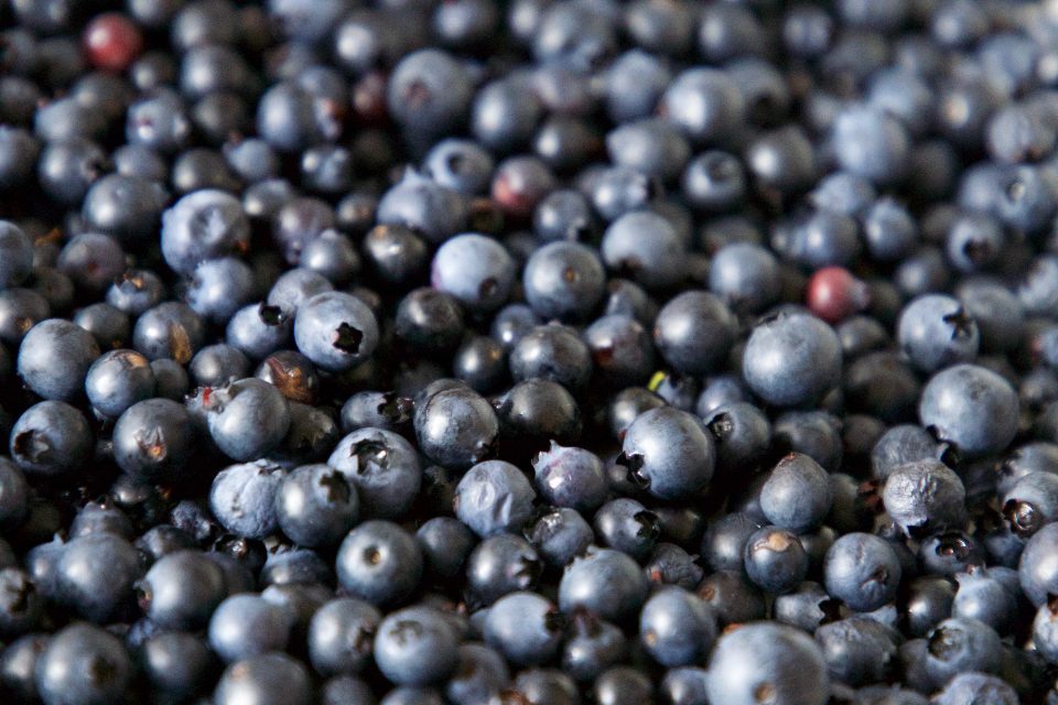 Blueberries: Nature's Tiny Powerhouses (Image Credits: Stocksnap)