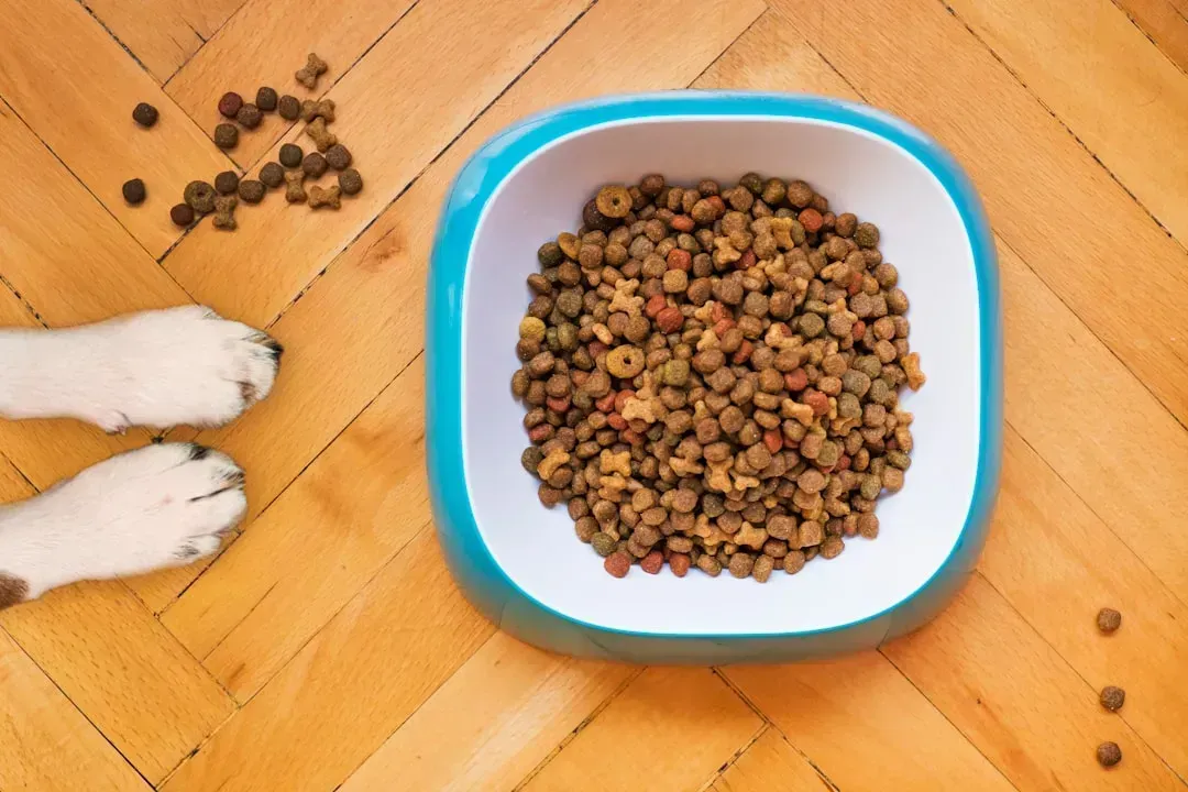 Food, Pet Food, and Bird Seed (Image Credits: Unsplash)