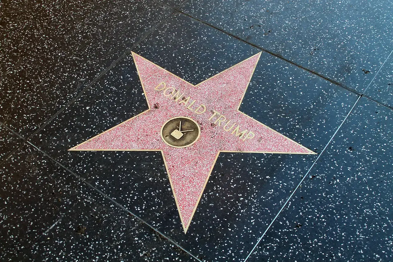 Hollywood Walk of Fame, Los Angeles (Image Credits: Pixabay)