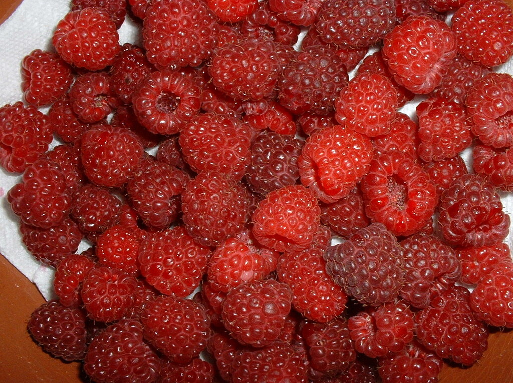 Raspberries - The Ultimate Nutritional Champions (image credits: flickr)