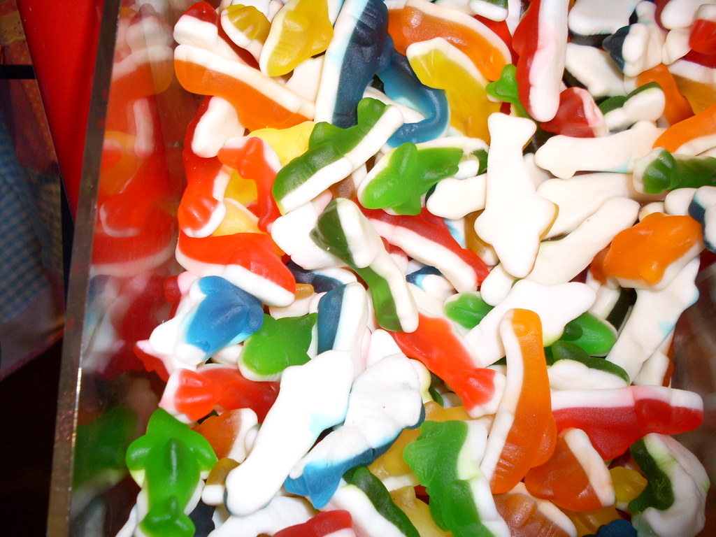 Shark Bites - The Hunt for the Great White (Image Credits: Flickr)