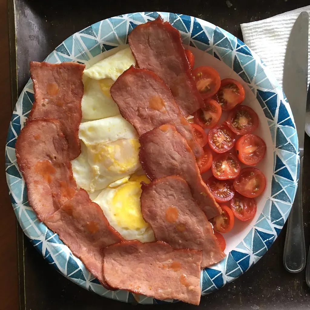 High-Protein Breakfast: Fueling Focus and Metabolic Efficiency (Image Credits: Flickr)