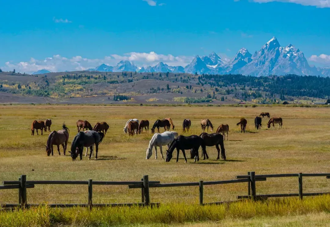 6. Wyoming: Tax Haven Feel, But Sparse Services and Higher Unit Costs (Image Credits: Unsplash)