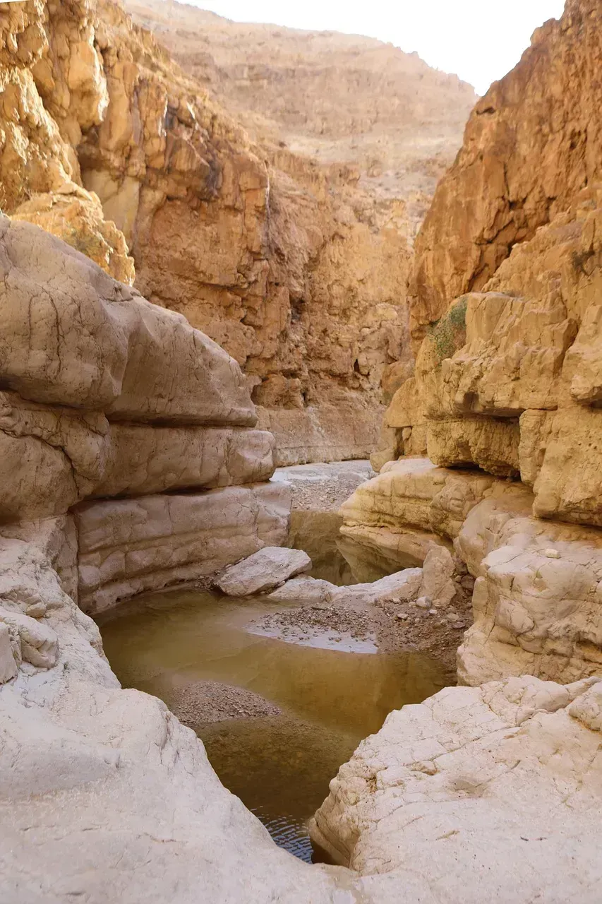 1. Arizona: A Desert State Running Out of Time (Image Credits: Pixabay)