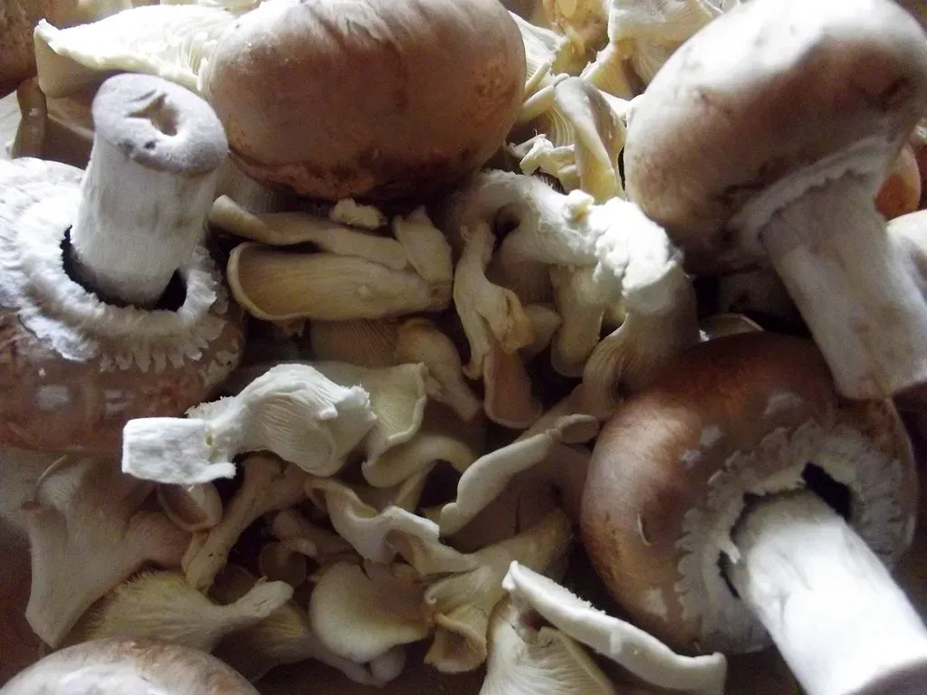 Mushroom Risotto with White Wine and Parmesan (huber.edith, Flickr, CC BY 2.0)