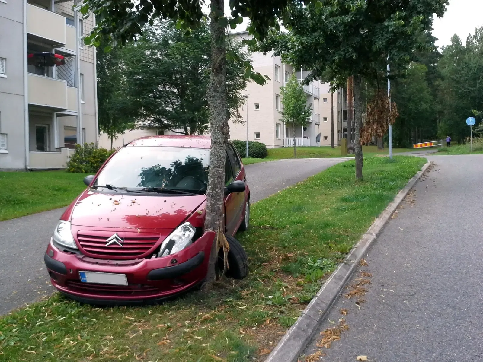 Ditch the Second Car (Image Credits: Wikimedia)