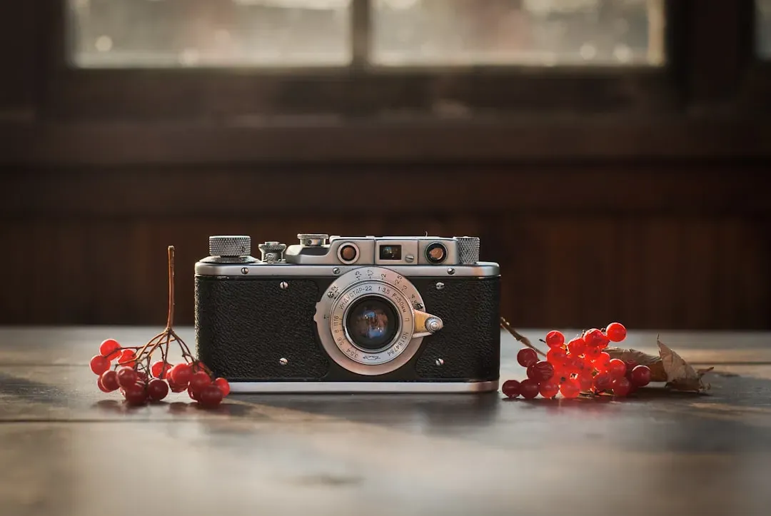 Vintage Cameras (Image Credits: Unsplash)
