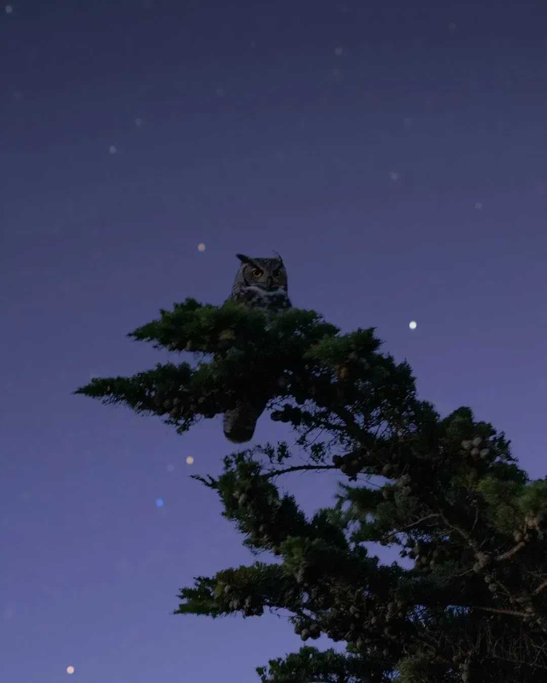 You're a Night Owl Who Comes Alive After Dark (Image Credits: Unsplash)