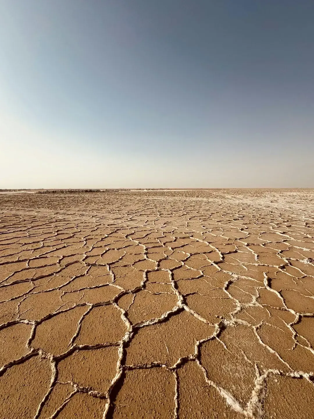 Drought, Climate Change, and the Perfect Storm (Image Credits: Unsplash)