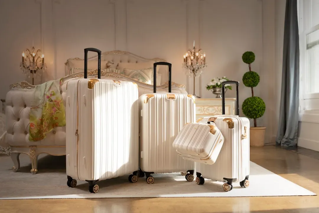 5. The Luggage and What's Inside It (Image Credits: Unsplash)